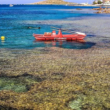 Ciuri Ciuri Isola delle Femmine