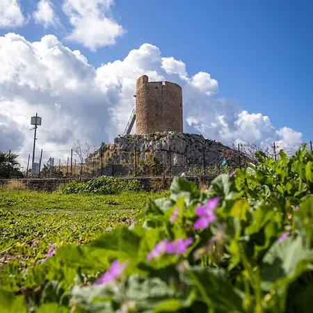 Ciuri Ciuri Isola delle Femmine